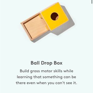 Lovevery incline ball placement